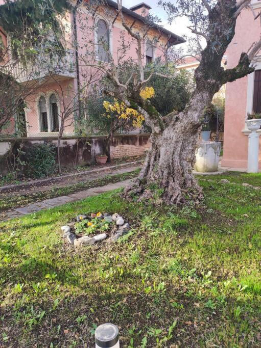 Casa Argia Βίλα Πάδοβα Εξωτερικό φωτογραφία